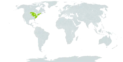 Hudsonia world distribution map, present in United States of America