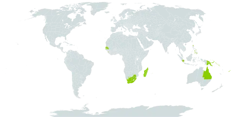 Hugonia world distribution map, present in Australia, Fiji, Indonesia, Sri Lanka, Madagascar, Mauritius, Philippines, Papua New Guinea, Senegal, Solomon Islands, and South Africa