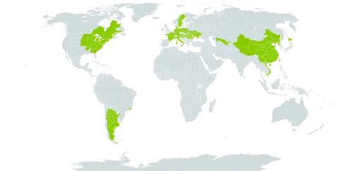 Humulus scandens world distribution map, present in Argentina, Austria, Brazil, Canada, China, Germany, Denmark, France, United Kingdom of Great Britain and Northern Ireland, Croatia, Hungary, Italy, Japan, Poland, Korea (Democratic People's Republic of), Romania, Serbia, Slovenia, Sweden, Taiwan, Province of China, Ukraine, United States of America, Uzbekistan, and Viet Nam