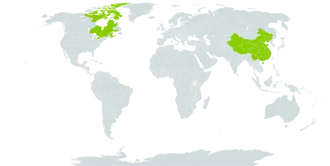 Huperzia appressa world distribution map, present in Canada, China, and France