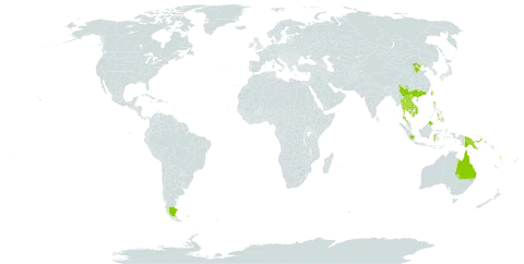 Huperzia carinata world distribution map, present in Argentina, American Samoa, Australia, China, Cook Islands, Fiji, Indonesia, Cambodia, Lao People's Democratic Republic, Malaysia, Philippines, Papua New Guinea, Singapore, Solomon Islands, Thailand, Taiwan, Province of China, Viet Nam, Vanuatu, and Samoa