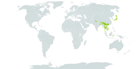 Huperzia pulcherrima world distribution map, present in Bhutan, China, Indonesia, India, Japan, Sri Lanka, Myanmar, Nepal, Thailand, and Viet Nam