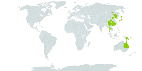 Huperzia serrata world distribution map, present in Australia, China, Japan, Papua New Guinea, Korea (Democratic People's Republic of), Thailand, Taiwan, Province of China, and United States of America