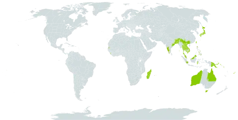 Huperzia squarrosa world distribution map, present in American Samoa, Australia, Bangladesh, Bhutan, China, Cook Islands, Fiji, Micronesia (Federated States of), Indonesia, India, Japan, Cambodia, Lao People's Democratic Republic, Sri Lanka, Madagascar, Myanmar, Mauritius, Malaysia, Nepal, Philippines, Papua New Guinea, Réunion, Singapore, Solomon Islands, Seychelles, Thailand, Tonga, Taiwan, Province of China, United States of America, Viet Nam, and Samoa