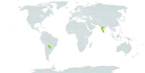 Hydnocarpus pentandrus world distribution map, present in Fiji, India, Paraguay, Trinidad and Tobago, and Taiwan, Province of China