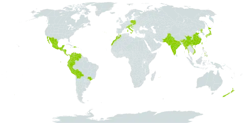 Hydrangea macrophylla world distribution map, present in Austria, Bolivia (Plurinational State of), Brazil, Bhutan, China, Colombia, Costa Rica, Dominican Republic, Ecuador, Spain, Guatemala, Honduras, Croatia, Haiti, India, Italy, Japan, Morocco, Mexico, Myanmar, Mauritius, Nicaragua, Niue, Nepal, New Zealand, Pakistan, Panama, Peru, Philippines, Poland, Korea (Democratic People's Republic of), Portugal, Réunion, Slovakia, Trinidad and Tobago, Taiwan, Province of China, Venezuela (Bolivarian Republic of), and Viet Nam