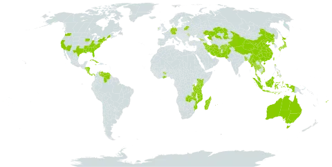 Hydrilla world distribution map, present in Aruba, Afghanistan, Åland Islands, Australia, Burkina Faso, Bangladesh, Belarus, China, Costa Rica, Cuba, Germany, Fiji, Georgia, Ghana, Honduras, Indonesia, Ireland, Iran (Islamic Republic of), Jamaica, Japan, Kazakhstan, Kenya, Moldova (Republic of), Madagascar, Myanmar, Mozambique, Mauritius, Malaysia, Nicaragua, Nepal, Pakistan, Panama, Philippines, Korea (Democratic People's Republic of), Réunion, Rwanda, Thailand, Taiwan, Province of China, Tanzania, United Republic of, Uganda, United States of America, Venezuela (Bolivarian Republic of), Viet Nam, and Zambia