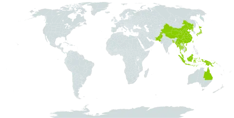 Hydrocharis dubia world distribution map, present in Australia, Bangladesh, China, Indonesia, Iceland, Japan, Myanmar, Malaysia, Pakistan, Philippines, Papua New Guinea, Korea (Democratic People's Republic of), Thailand, Taiwan, Province of China, and Viet Nam