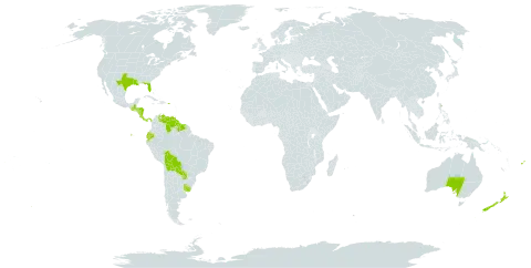 Hydrocleys world distribution map, present in Australia, Bolivia (Plurinational State of), Costa Rica, Ecuador, Fiji, Guatemala, Guyana, Honduras, Norfolk Island, Nicaragua, New Zealand, Panama, Puerto Rico, Paraguay, Suriname, Uruguay, United States of America, and Venezuela (Bolivarian Republic of)