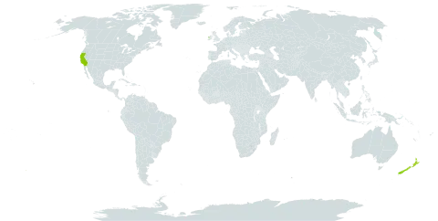 Hydrocotyle moschata world distribution map, present in Ireland, New Zealand, and United States of America