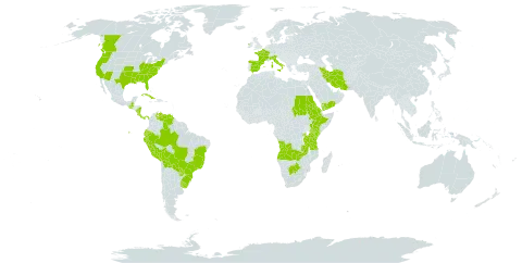 Hydrocotyle ranunculoides world distribution map, present in Angola, Åland Islands, Burkina Faso, Bolivia (Plurinational State of), Brazil, Botswana, Canada, Costa Rica, Cuba, Ecuador, Eritrea, Spain, Ethiopia, France, Guatemala, Ireland, Iran (Islamic Republic of), Italy, Kenya, Nicaragua, Panama, Peru, Palau, Paraguay, Rwanda, Sudan, Tanzania, United Republic of, Uganda, Uruguay, United States of America, Venezuela (Bolivarian Republic of), Yemen, and Zambia