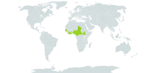 Hydrolea macrosepala world distribution map, present in Burkina Faso, Central African Republic, Côte d'Ivoire, Cameroon, Ghana, Guinea, Gambia, Guinea-Bissau, Nigeria, Senegal, South Sudan, Chad, and Togo