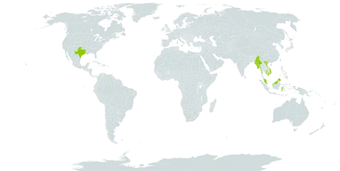 Hygrophila stricta world distribution map, present in Indonesia, Cambodia, Myanmar, Malaysia, United States of America, and Viet Nam