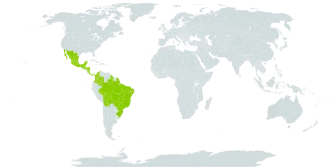 Hymenaea courbaril var. courbaril world distribution map, present in American Samoa, Belize, Bolivia (Plurinational State of), Brazil, Colombia, Costa Rica, Guatemala, French Guiana, Guyana, Honduras, Iceland, Mexico, Nicaragua, Panama, and El Salvador