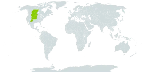 Hymenopappus filifolius var. polycephalus world distribution map, present in Canada and United States of America