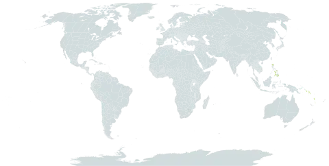 Hymenophyllum angulosum world distribution map, present in Philippines, Papua New Guinea, Solomon Islands, and Vanuatu