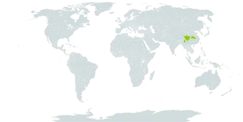 Hymenophyllum corrugatum world distribution map, present in China and Myanmar