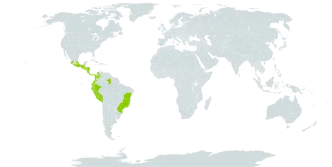 Hymenophyllum myriocarpum world distribution map, present in Brazil, Colombia, Costa Rica, Ecuador, Guatemala, Honduras, Mexico, Nicaragua, Panama, Peru, El Salvador, and Venezuela (Bolivarian Republic of)