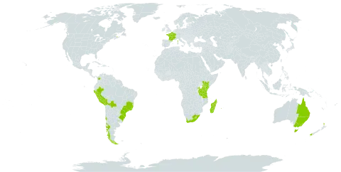 Hymenophyllum peltatum world distribution map, present in Argentina, French Southern Territories, Australia, Bolivia (Plurinational State of), Brazil, Canada, Chile, Colombia, France, Kenya, Lesotho, Madagascar, New Zealand, Peru, Réunion, Rwanda, Saint Helena, Ascension and Tristan da Cunha, Tanzania, United Republic of, Uganda, Uruguay, and South Africa