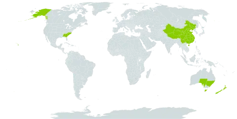 Hymenophyllum world distribution map, present in Australia, China, New Zealand, and United States of America