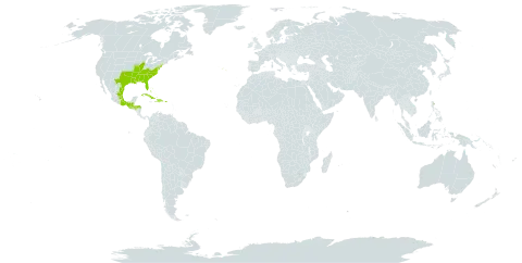 Hypericum hypericoides subsp. hypericoides world distribution map, present in Bahamas, Cuba, Dominican Republic, Guatemala, Honduras, Haiti, Mexico, Puerto Rico, Portugal, and United States of America