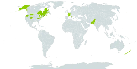 Iberis amara world distribution map, present in Canada, France, New Zealand, Pakistan, and United States of America