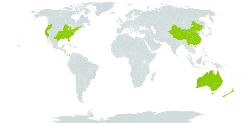 Ilex world distribution map, present in Australia, China, New Zealand, Panama, and United States of America