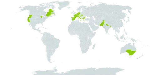 Impatiens balfourii world distribution map, present in Albania, Andorra, Australia, Bulgaria, Bosnia and Herzegovina, Canada, Switzerland, Germany, Spain, France, Greece, Croatia, Hungary, India, Italy, North Macedonia, Pakistan, Slovakia, Slovenia, and United States of America