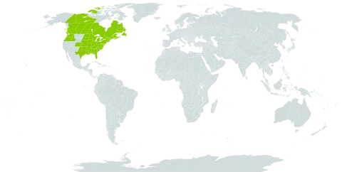 Impatiens capensis world distribution map, present in Canada, France, United Kingdom of Great Britain and Northern Ireland, Saint Pierre and Miquelon, and United States of America