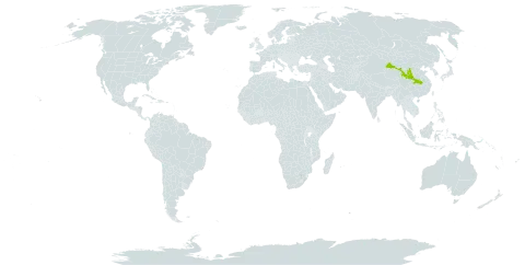 Impatiens fissicornis world distribution map, present in China