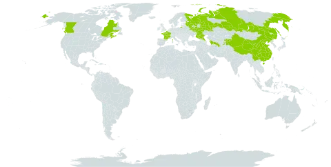 Impatiens parviflora world distribution map, present in Canada, China, France, Kyrgyzstan, Russian Federation, Tajikistan, and Turkmenistan