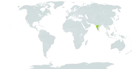 Impatiens rupicola world distribution map, present in India