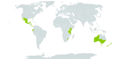 Impatiens sodenii world distribution map, present in Australia, Costa Rica, Ecuador, Spain, Honduras, Kenya, Mexico, New Zealand, Panama, Tanzania, United Republic of, United States of America, and South Africa