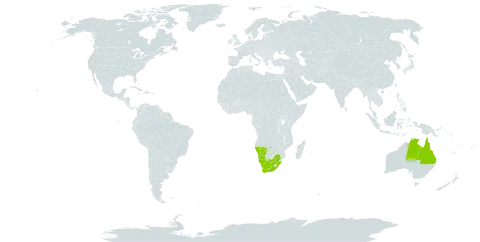 Indigastrum argyroides world distribution map, present in Australia, Namibia, and South Africa