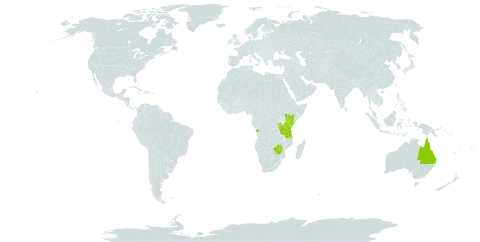 Indigofera circinella world distribution map, present in Angola, Australia, Burundi, Kenya, Rwanda, Tanzania, United Republic of, Uganda, and Zimbabwe