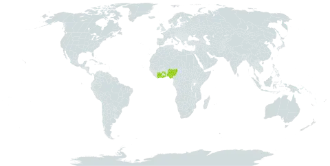 Indigofera conferta world distribution map, present in Côte d'Ivoire, Ghana, Nigeria, and Togo