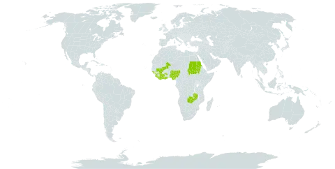 Indigofera deightonii world distribution map, present in Côte d'Ivoire, Ghana, Guinea, Guinea-Bissau, Liberia, Mali, Nigeria, Sudan, Sierra Leone, and Zambia