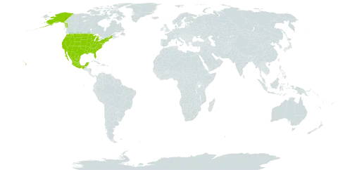 Indigofera fruticosa world distribution map, present in Bonaire, Sint Eustatius and Saba, Mexico, and United States of America