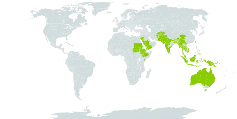 Indigofera linifolia world distribution map, present in Afghanistan, Australia, Bangladesh, Bhutan, China, Ethiopia, Indonesia, India, Kenya, Cambodia, Sri Lanka, Myanmar, Malaysia, Nepal, Pakistan, Philippines, Papua New Guinea, Réunion, Saudi Arabia, Sudan, Thailand, Timor-Leste, Taiwan, Province of China, Viet Nam, and Yemen