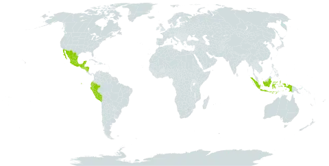 Indigofera micheliana world distribution map, present in American Samoa, Bonaire, Sint Eustatius and Saba, Ecuador, Guatemala, Honduras, Indonesia, Mexico, Nicaragua, Peru, and El Salvador