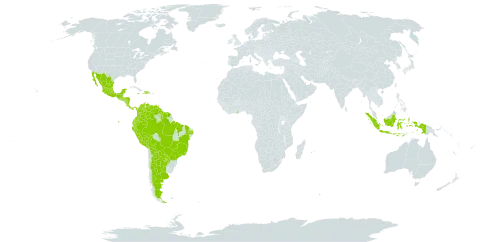 Inga laurina world distribution map, present in Argentina, American Samoa, Bolivia (Plurinational State of), Brazil, Colombia, Costa Rica, Dominican Republic, Ecuador, Ghana, Guatemala, French Guiana, Guyana, Honduras, Haiti, Indonesia, Jamaica, Mexico, Mauritius, Nicaragua, Panama, Peru, Paraguay, Réunion, Singapore, El Salvador, Suriname, Trinidad and Tobago, and Venezuela (Bolivarian Republic of)