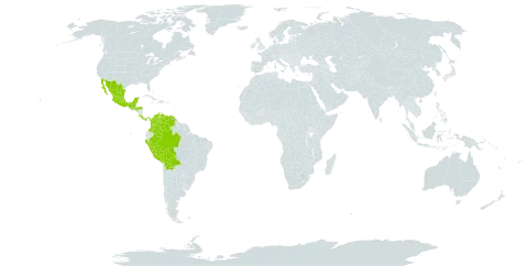 Inga nobilis subsp. quaternata world distribution map, present in American Samoa, Bonaire, Sint Eustatius and Saba, Belize, Bolivia (Plurinational State of), Brazil, Colombia, Costa Rica, Guatemala, Honduras, Mexico, Panama, Peru, and Venezuela (Bolivarian Republic of)