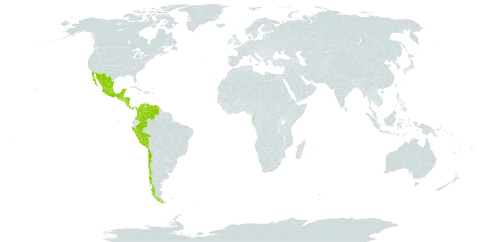 Inga sapindoides world distribution map, present in American Samoa, Bonaire, Sint Eustatius and Saba, Belize, Brazil, Chile, Colombia, Costa Rica, Equatorial Guinea, Guatemala, Honduras, Mexico, Nicaragua, Panama, Peru, El Salvador, and Venezuela (Bolivarian Republic of)