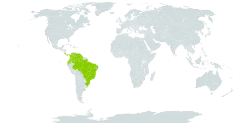 Inga sertulifera subsp. leptopus world distribution map, present in American Samoa, Brazil, Colombia, Costa Rica, Ecuador, Guyana, Panama, and Venezuela (Bolivarian Republic of)