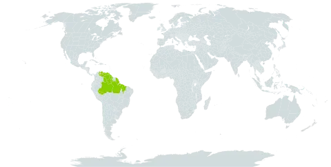 Inga sertulifera subsp. sertulifera world distribution map, present in American Samoa, Brazil, French Guiana, Guyana, and Venezuela (Bolivarian Republic of)