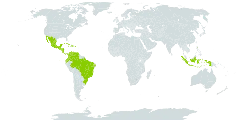 Inga vera world distribution map, present in Bonaire, Sint Eustatius and Saba, Belize, Brazil, Colombia, Costa Rica, Cuba, Dominican Republic, Ecuador, Guatemala, Honduras, Haiti, Indonesia, Jamaica, Mexico, Nicaragua, Panama, Puerto Rico, El Salvador, and Venezuela (Bolivarian Republic of)