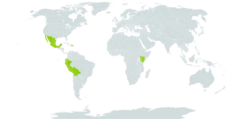 Iochroma cyaneum world distribution map, present in Bolivia (Plurinational State of), Dominican Republic, Ecuador, Haiti, Kenya, Sri Lanka, Mexico, and Peru