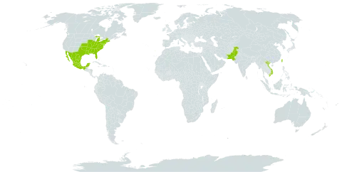 Ipomoea coccinea world distribution map, present in Mexico, Pakistan, Portugal, Taiwan, Province of China, United States of America, and Viet Nam