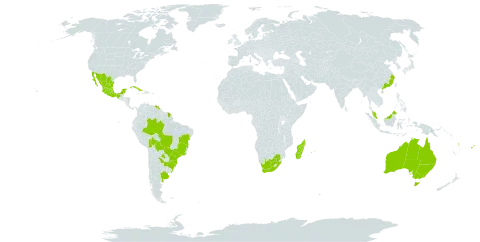 Ipomoea fimbriosepala world distribution map, present in Argentina, Australia, Bolivia (Plurinational State of), Brazil, China, Cuba, Fiji, Micronesia (Federated States of), French Guiana, Guam, Madagascar, Mexico, Mauritius, Malaysia, Papua New Guinea, Paraguay, Réunion, Uruguay, Venezuela (Bolivarian Republic of), Vanuatu, and South Africa