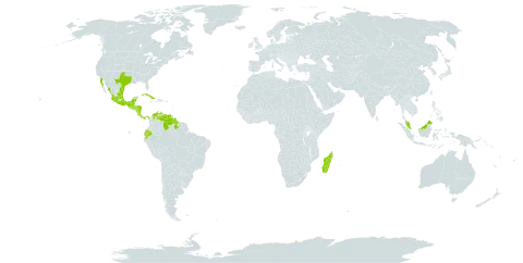 Ipomoea trifida world distribution map, present in Belize, Colombia, Costa Rica, Cuba, Ecuador, Guatemala, Guyana, Honduras, Madagascar, Mexico, Malaysia, Nicaragua, Panama, El Salvador, United States of America, and Venezuela (Bolivarian Republic of)